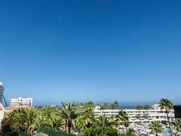 Vista exterior de Apartamento en venta en Adeje con Terraza, Amueblado y Horno