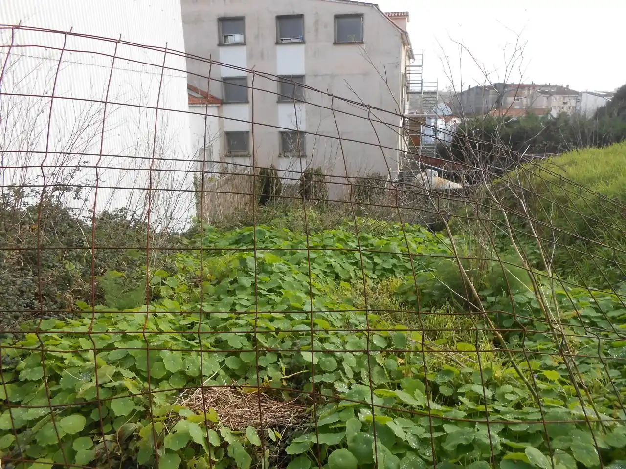Terreno residenziale in vendita a Rúa Bouzas, imagen 4
