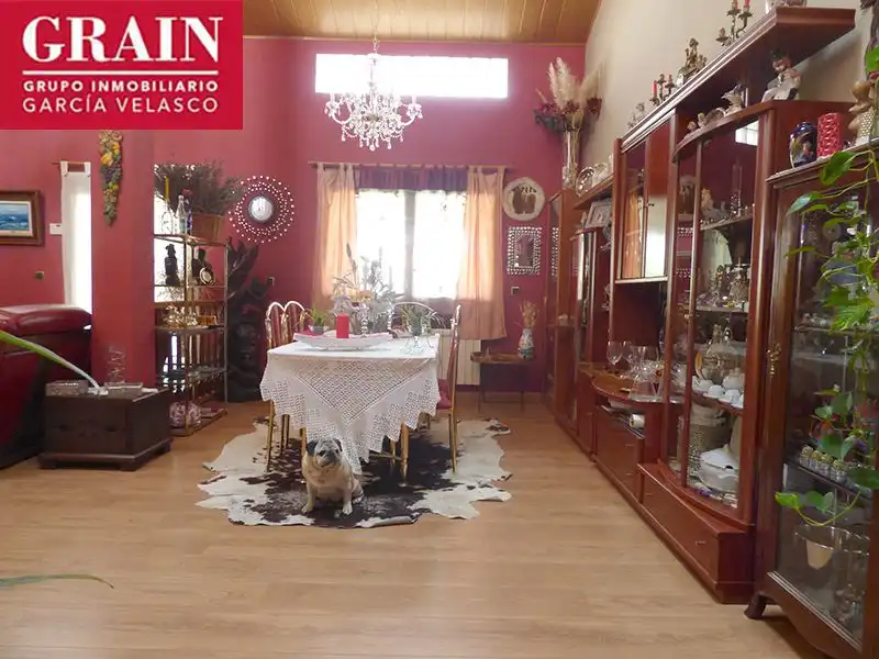 Comedor de Casa o chalet en venta en Albacete con Aire acondicionado, Calefacción y Jardín privado