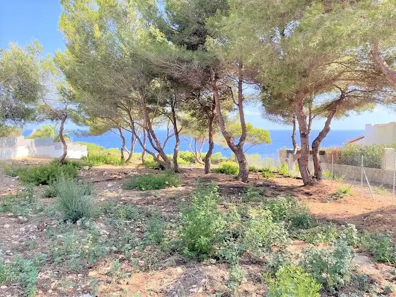 Terreny residencial en venda a Cala Pi - Vallgornera, imagen 2