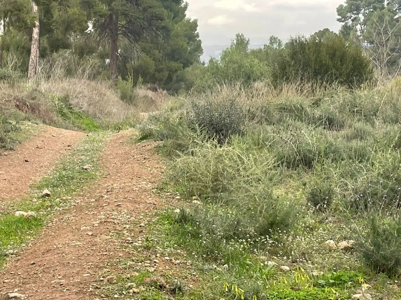 Terreno residenziale in vendita a Pedanías Este, imagen 15
