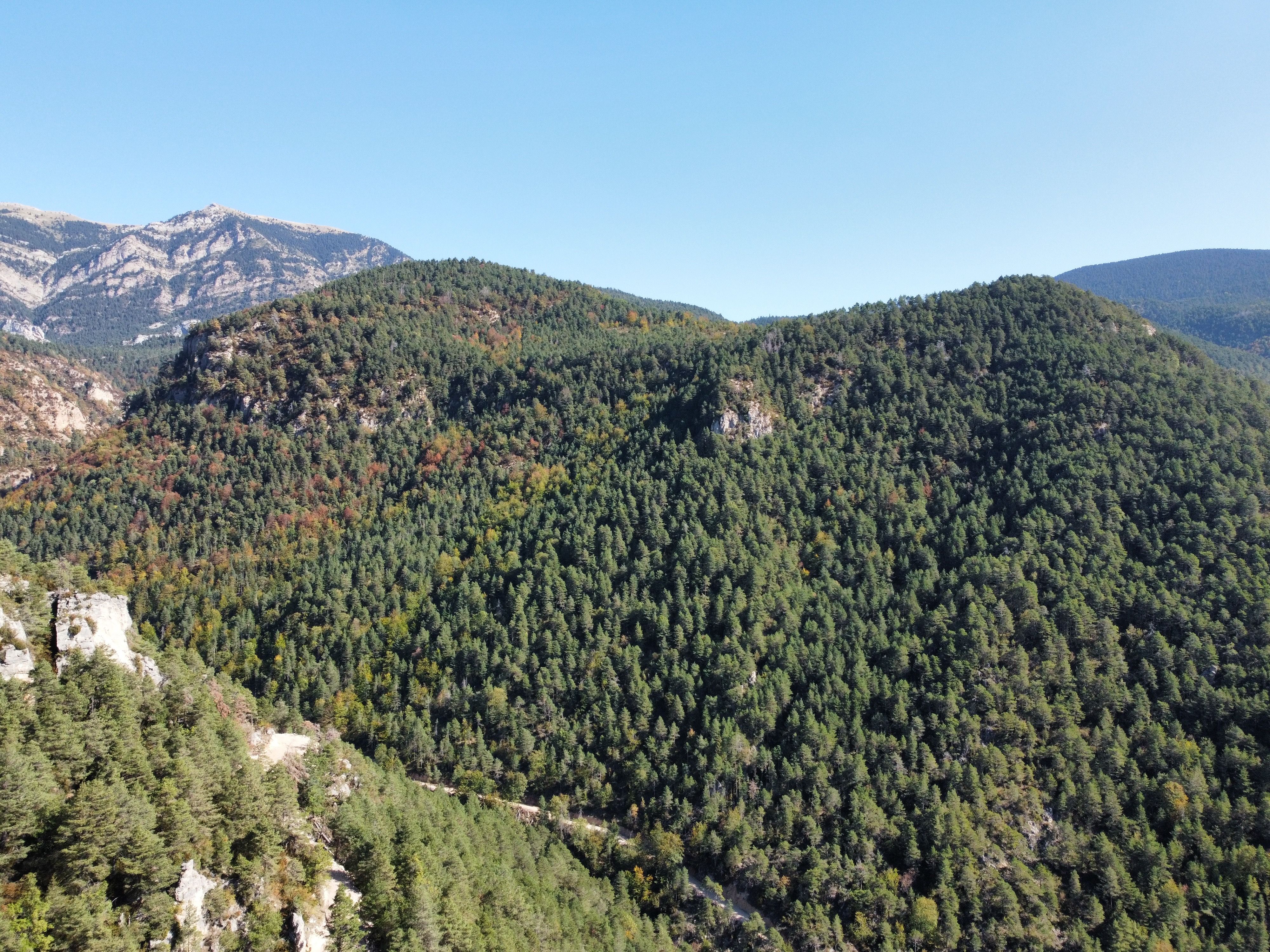 Land for sale in Castellar del Riu