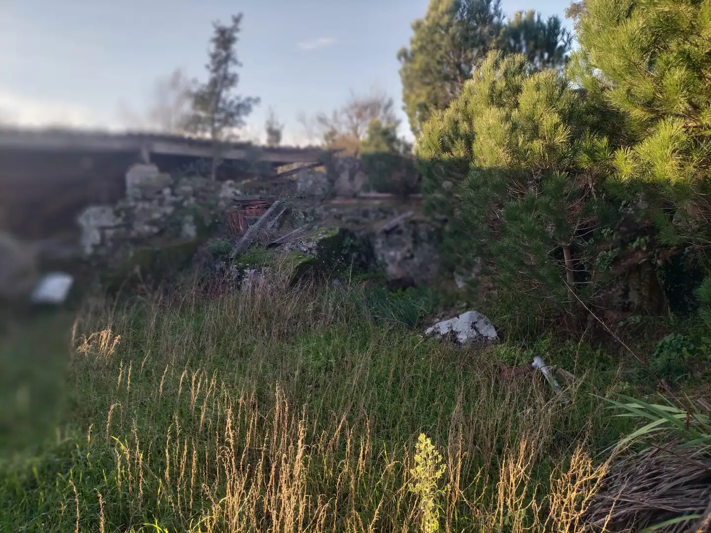 Finca rústica en venta en Ourense Capital  con Jardín privado, Terraza y Balcón