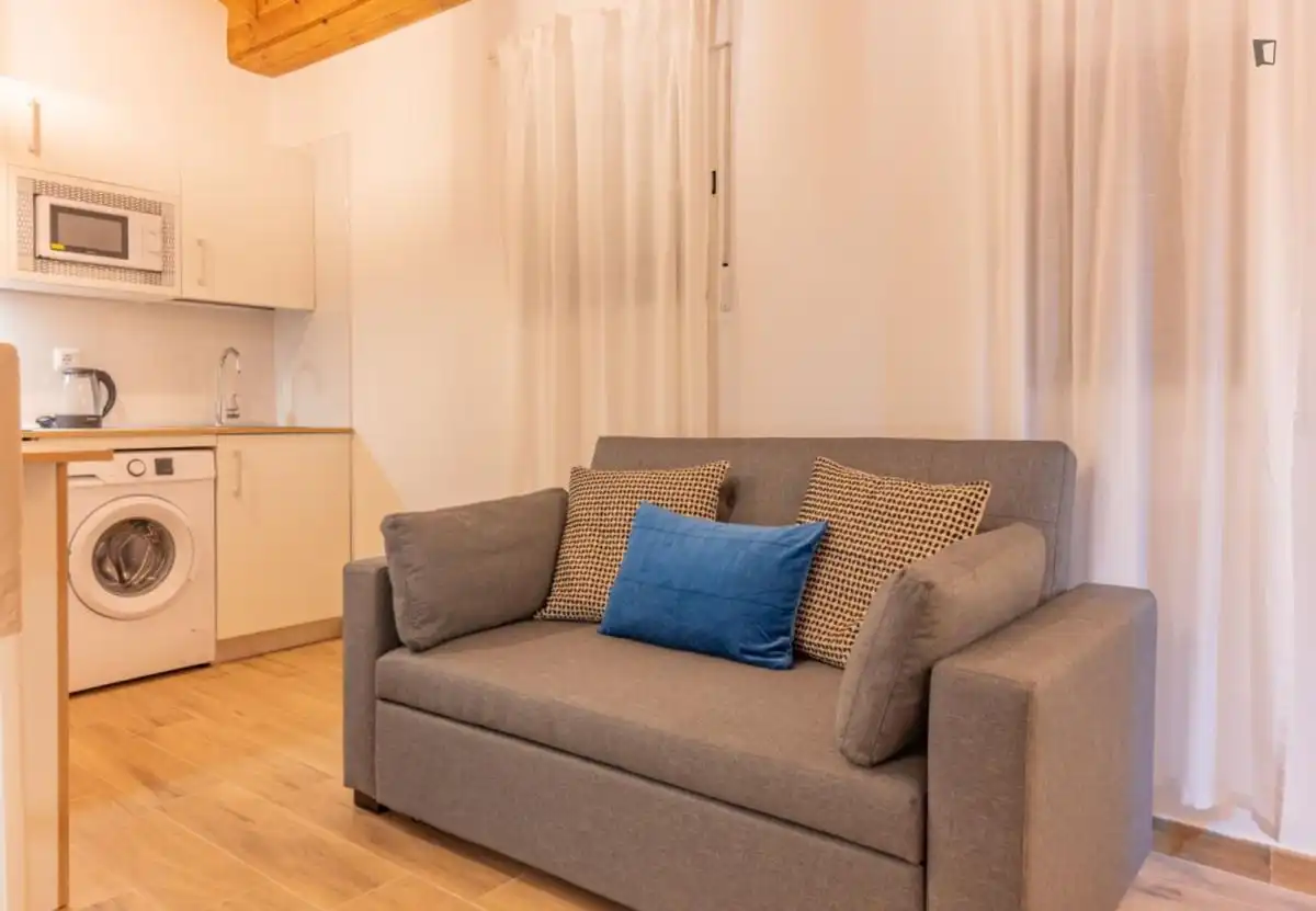 Sala d'estar de Apartament de lloguer en Madrid amb Aire condicionat, Moblat i Rentadora