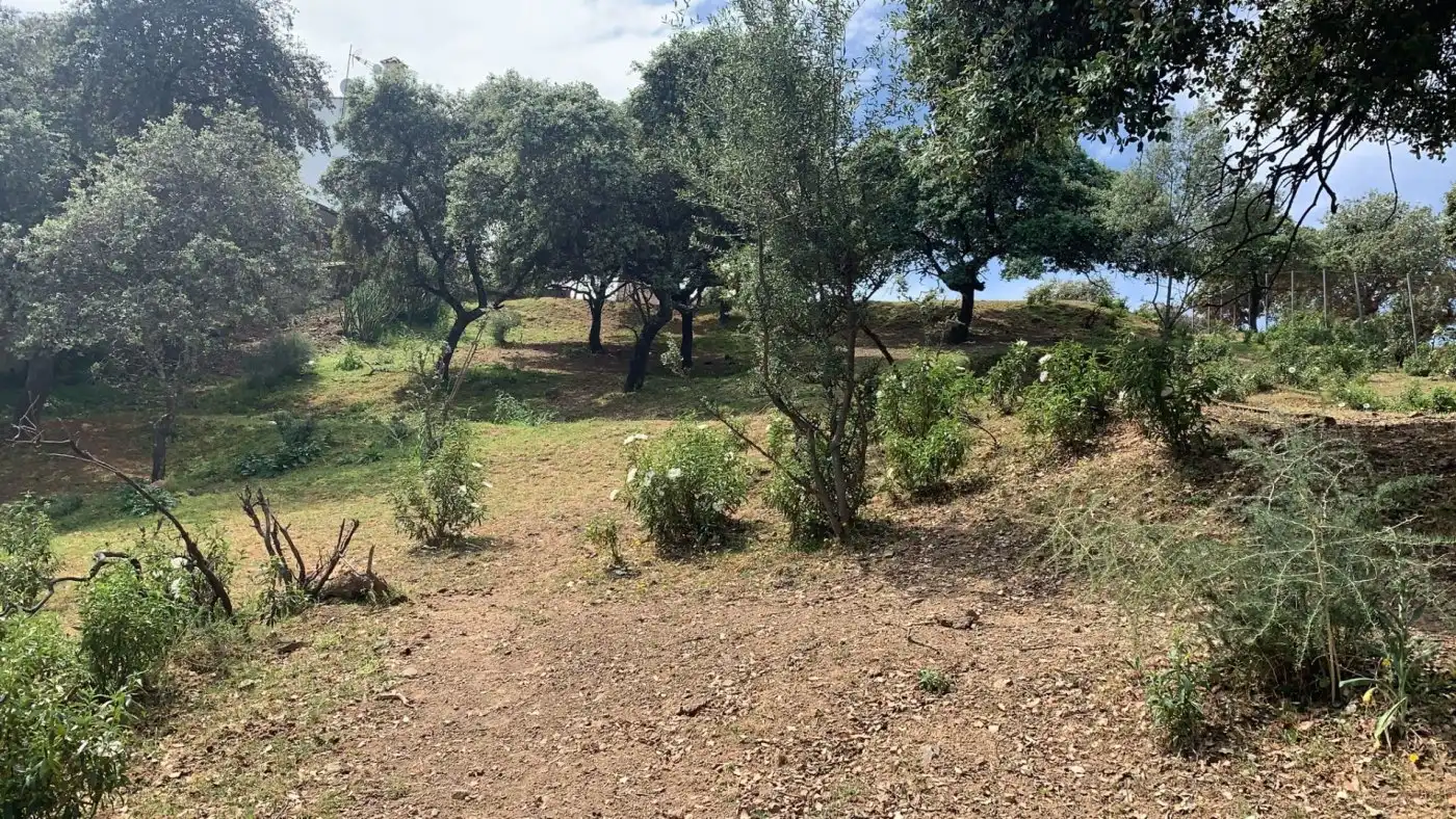 Residential land for sale in Periurbano Norte, imagen 13