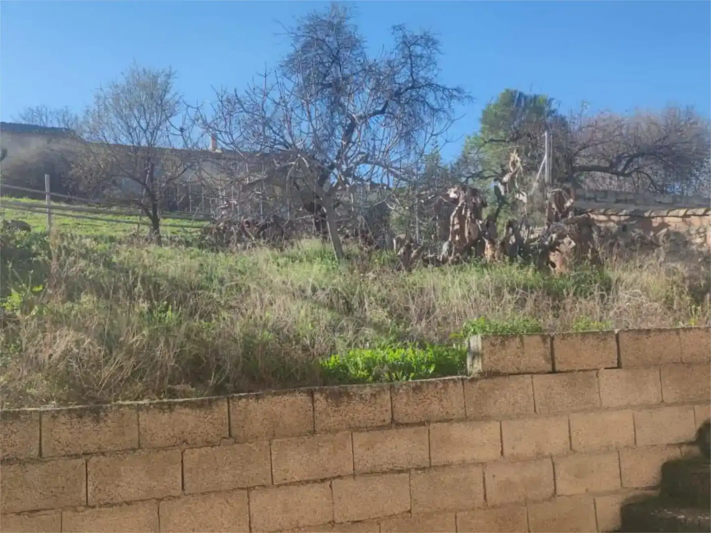 Finca rústica en venda en Peal de Becerro