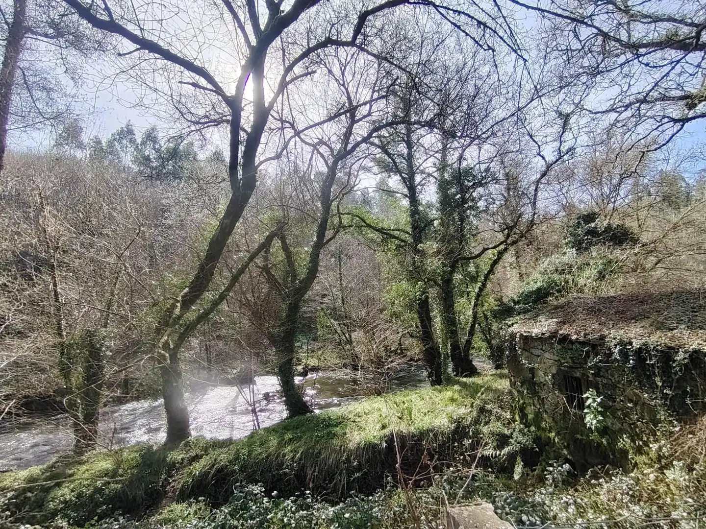 Country homes for sale in Negreira