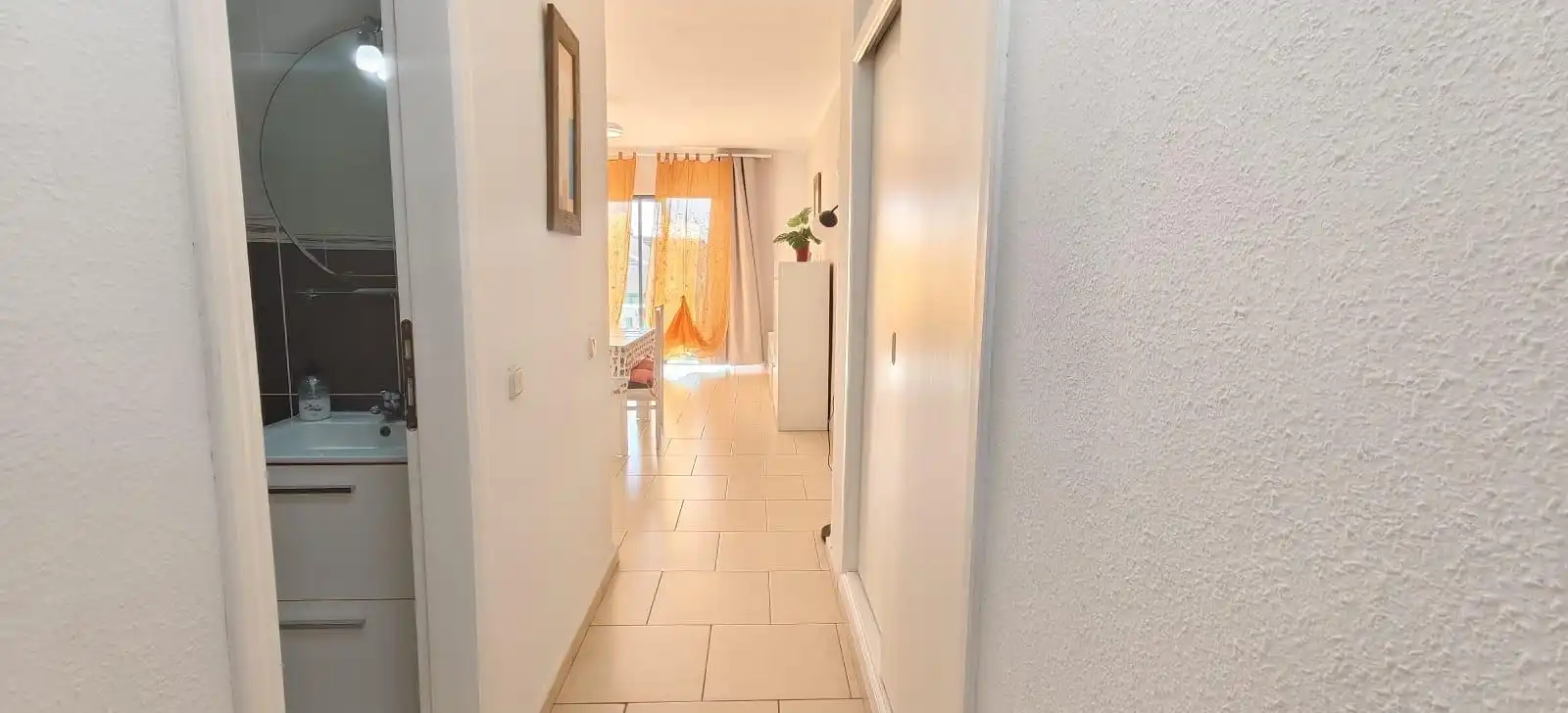 Apartamento con piscina en alquiler en Avenida Ernesto Sarti 9, imagen 8