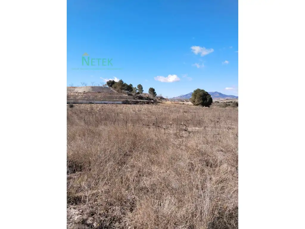 Terreno residencial en venta en Poligono 11 Paraje 135 Salobrar, imagen 3