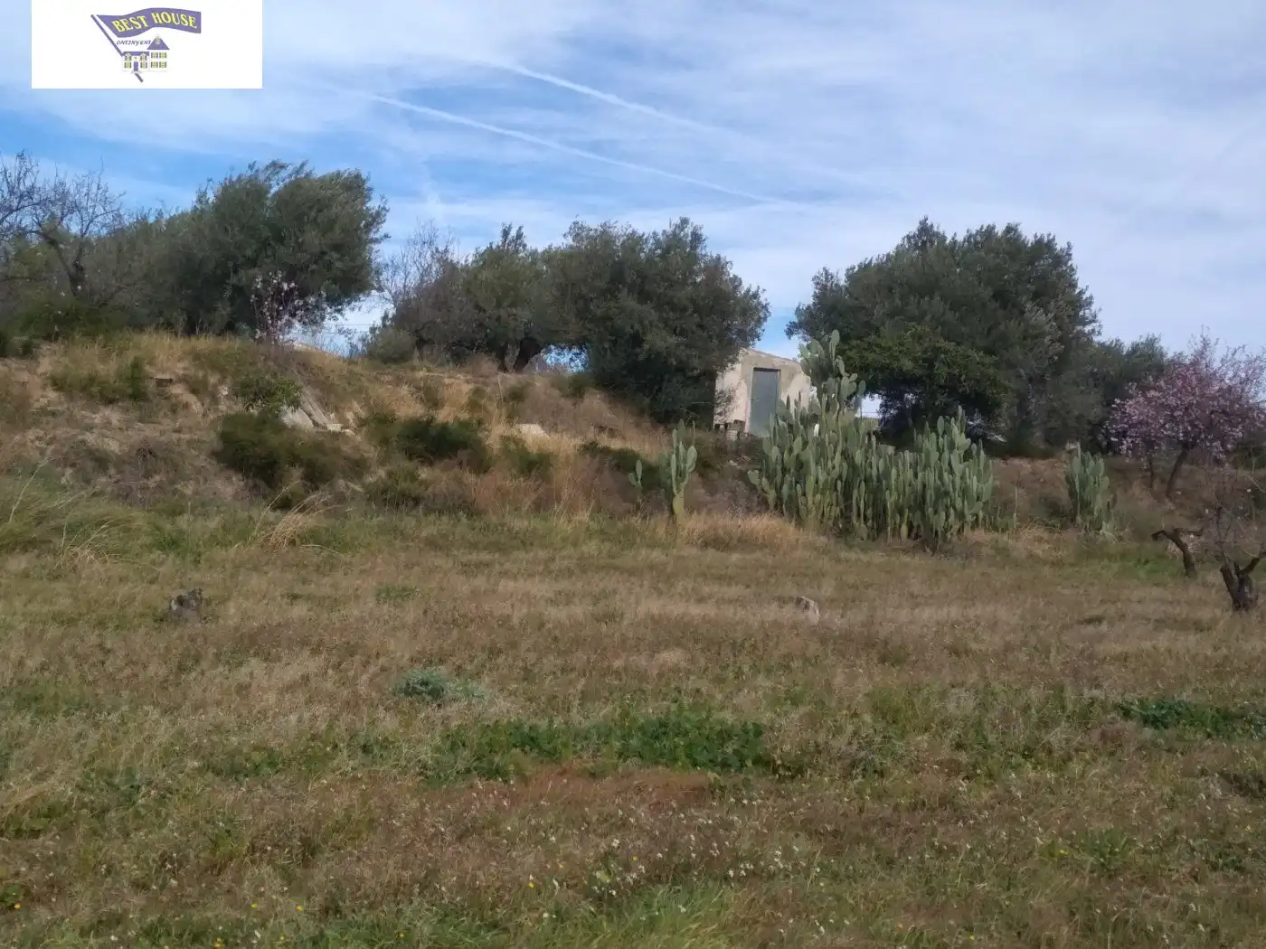 Terreni e lotti in vendita a Agullent, imagen 6
