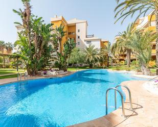 Piscina de Apartament en venda en Torrevieja amb Aire condicionat, Terrassa i Balcó