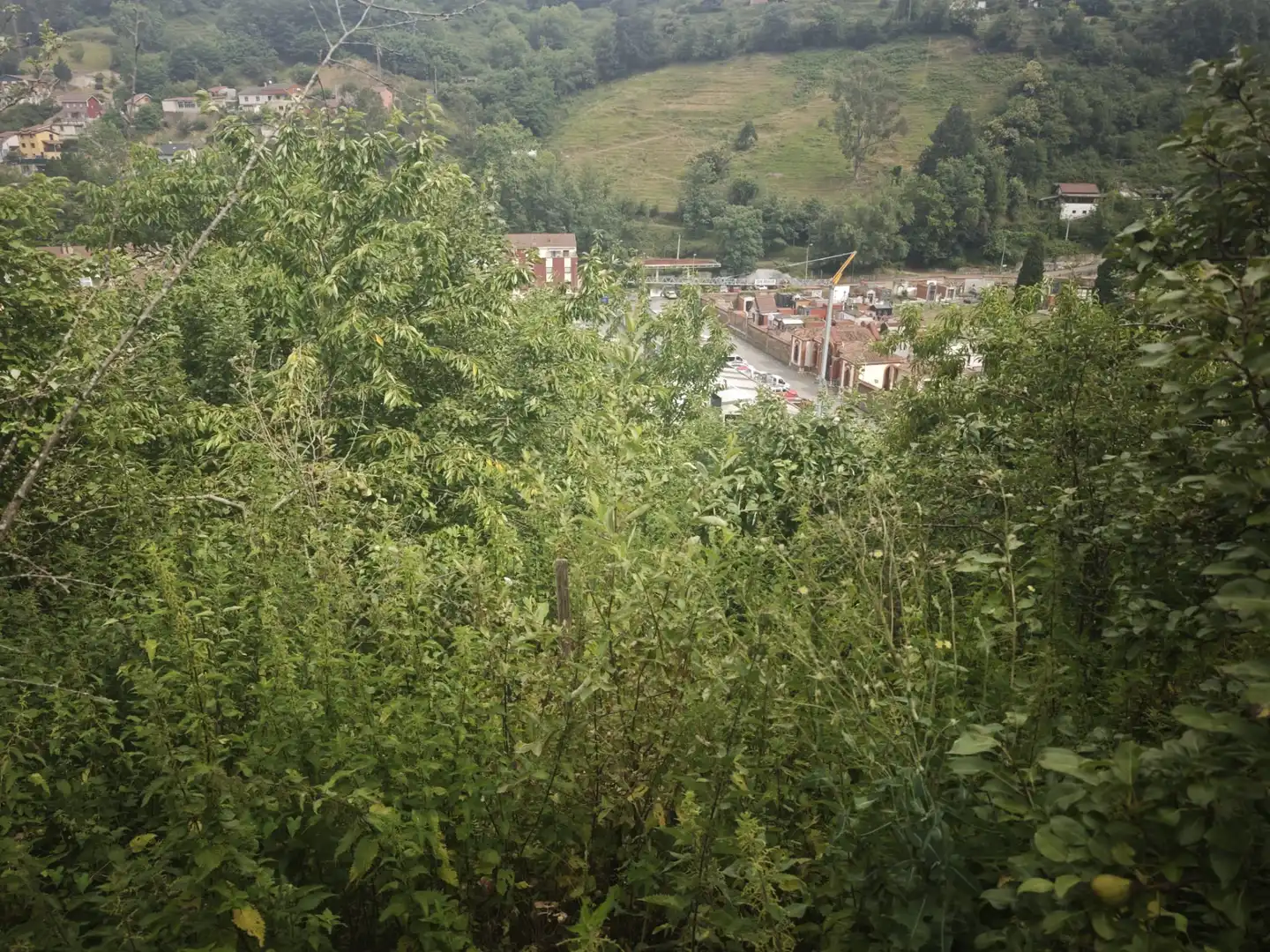 Vista exterior de Finca rústica en venda en Mieres (Asturias) amb Jardí privat i Traster