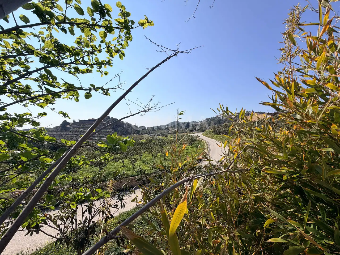 Casa o chalet en venta en La Nucia