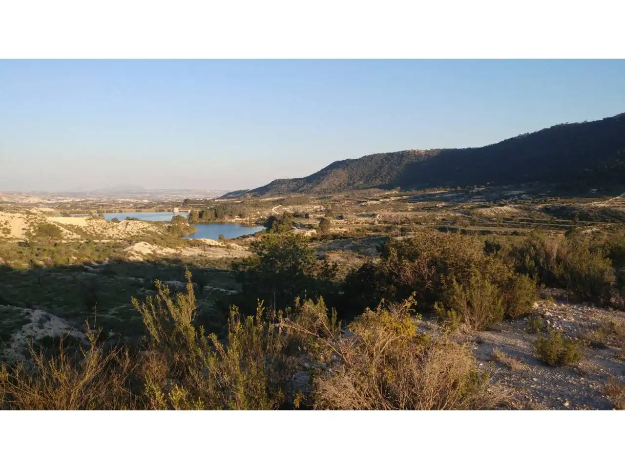 Lands and plots for sale in Ojós, imagen 6