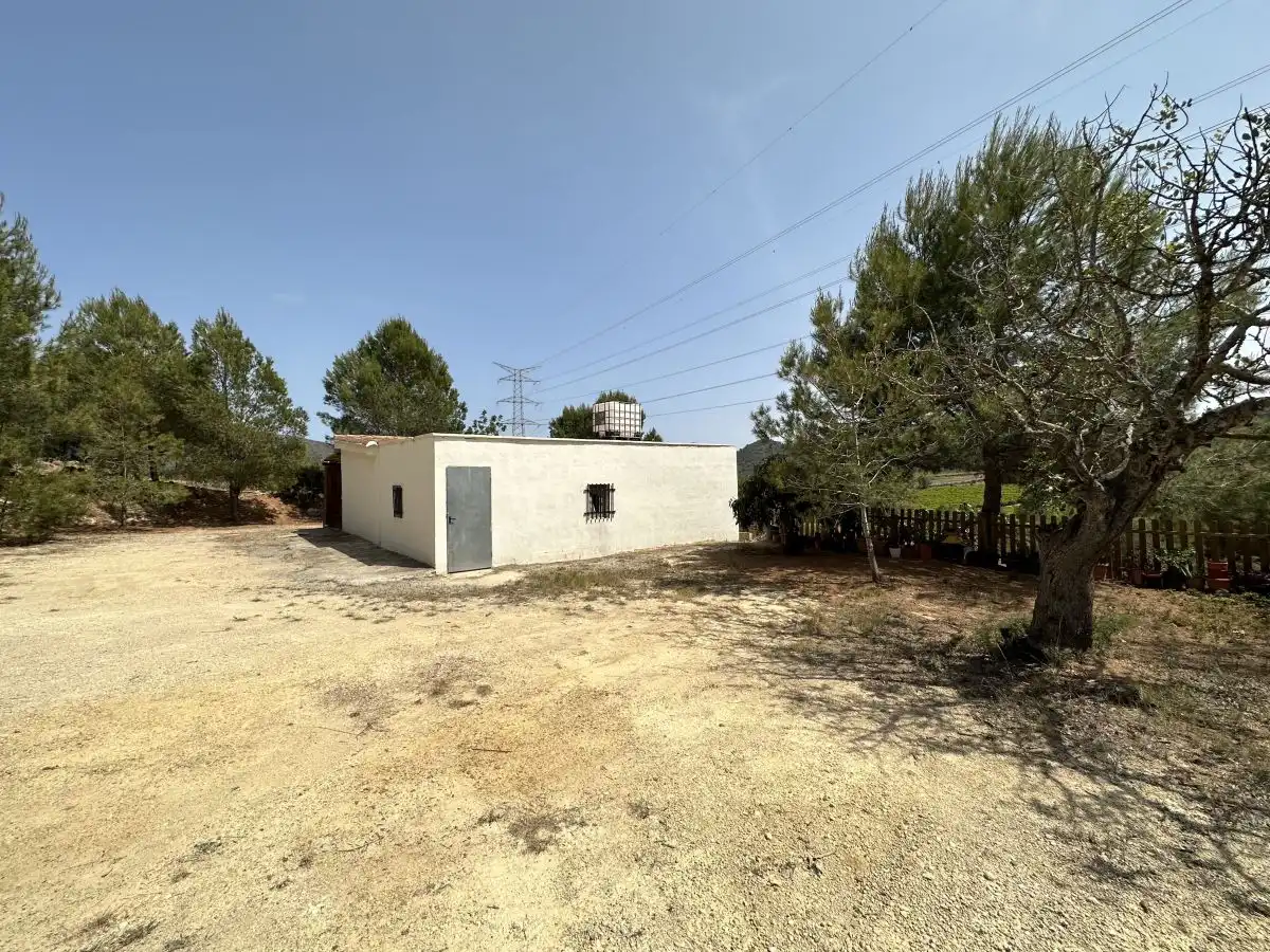 Exterior view of Houses for sale in Algar de Palància  with Terrace and Storage room