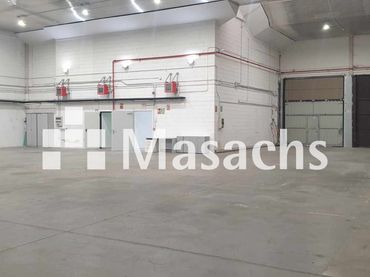 Nau industrial de lloguer a San Agustín del Guadalix pueblo