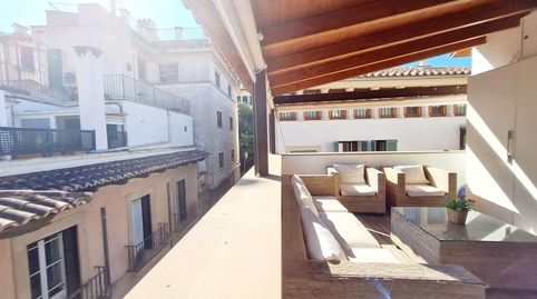 Photo 2 of Apartments for rent in Sant Nicolau, Palma de Mallorca