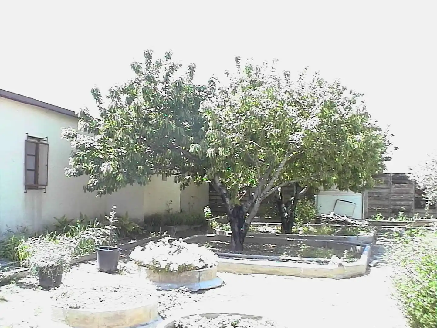 Country homes for sale in N/A, Barillas