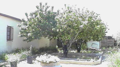 Photo 4 of Country homes for sale in Barillas, Navarra