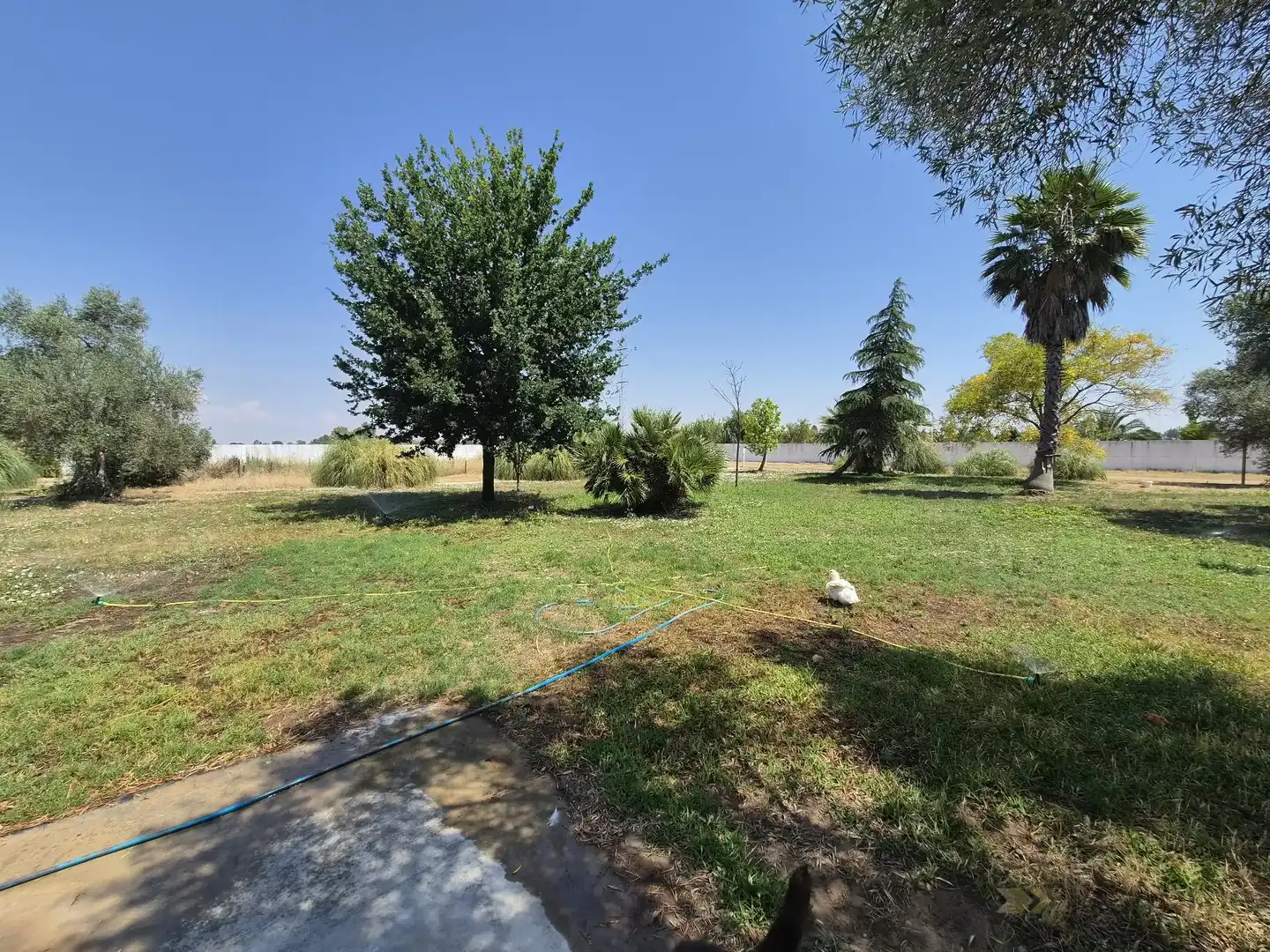 Detached house for sale in Las Vaguadas