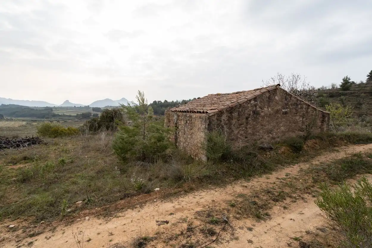 Country homes for sale in Bot