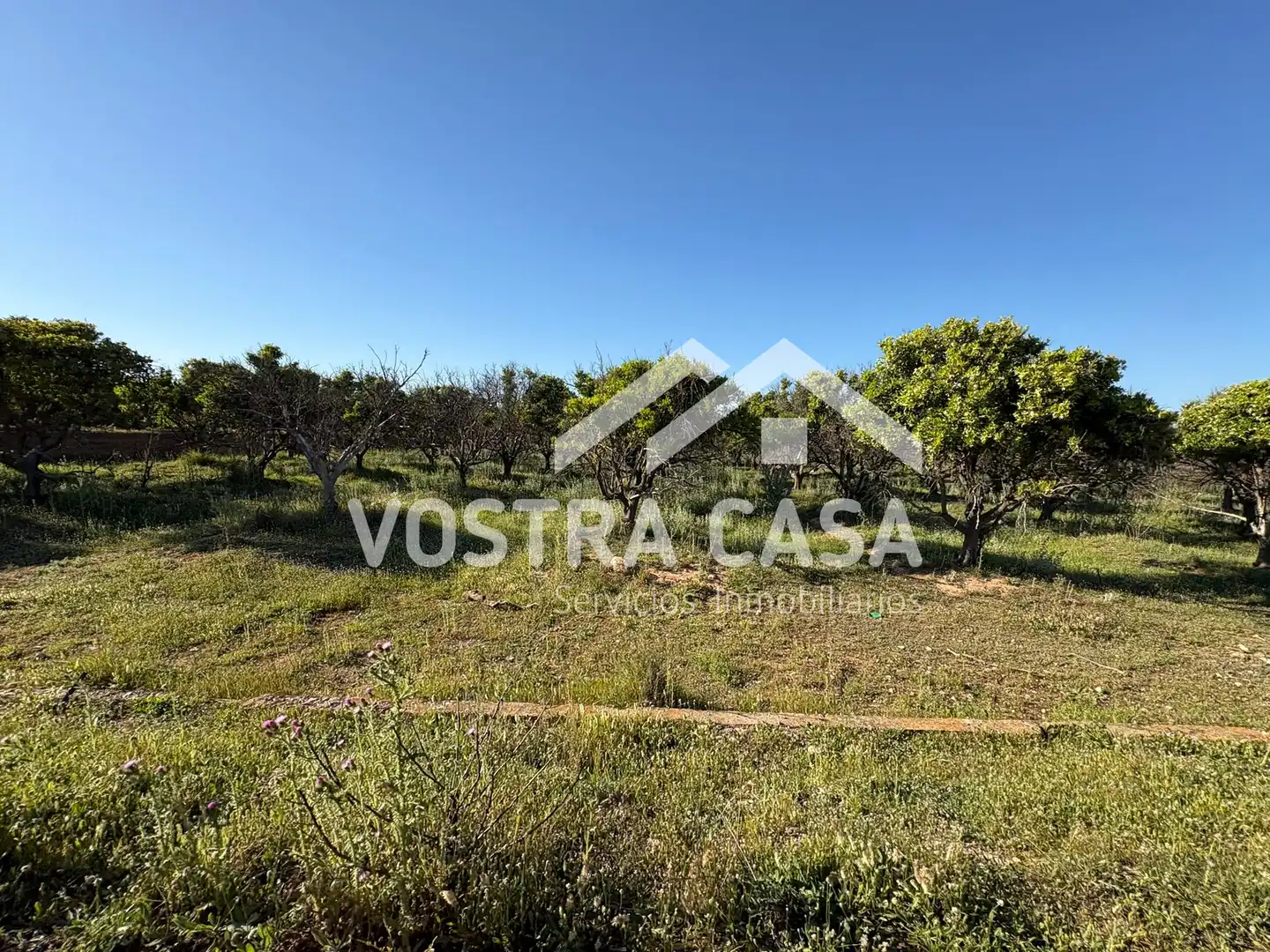 Land for sale in Chiva