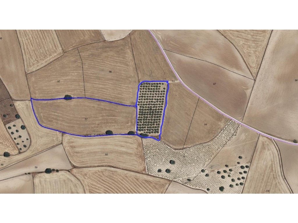 Finca rústica en venta en Navalcarnero