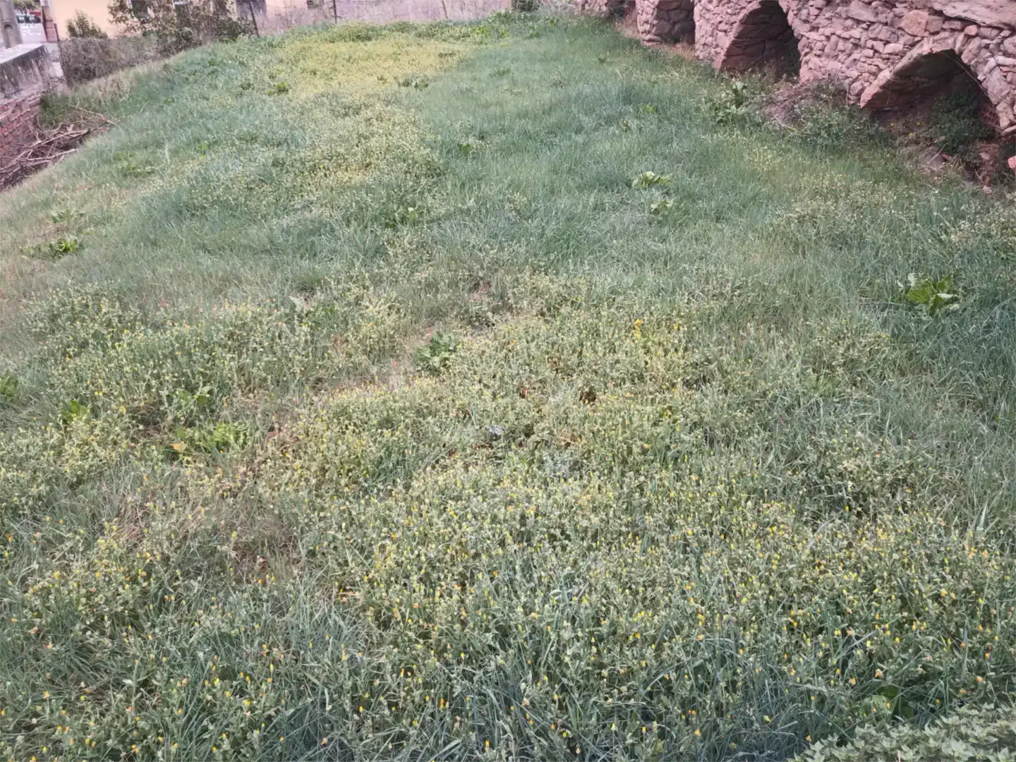 Finca rústica en venta en Moià, Barcelona