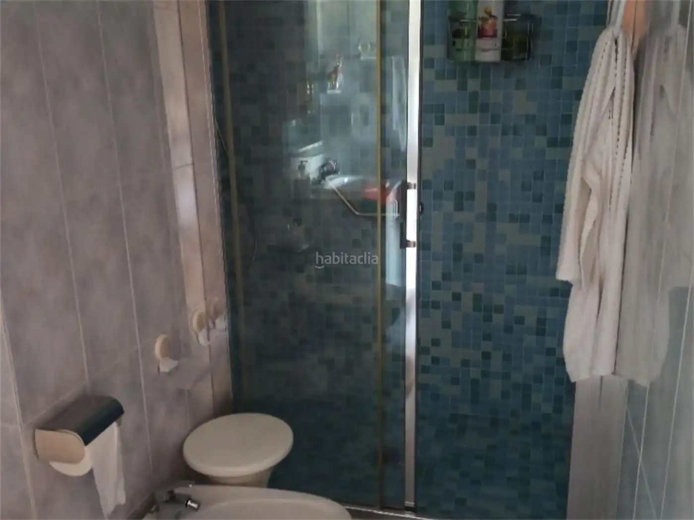 Appartement avec ascenseur à louer à Paseo Reina Sofía 8, imagen 15
