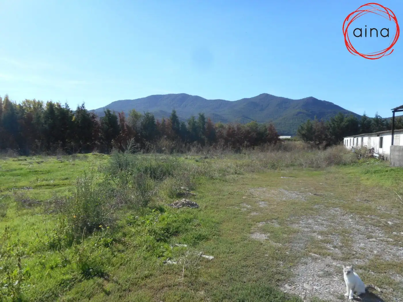 Wohnbaugrundstück zum Verkauf in Gallipienzo / Galipentzu, imagen 7