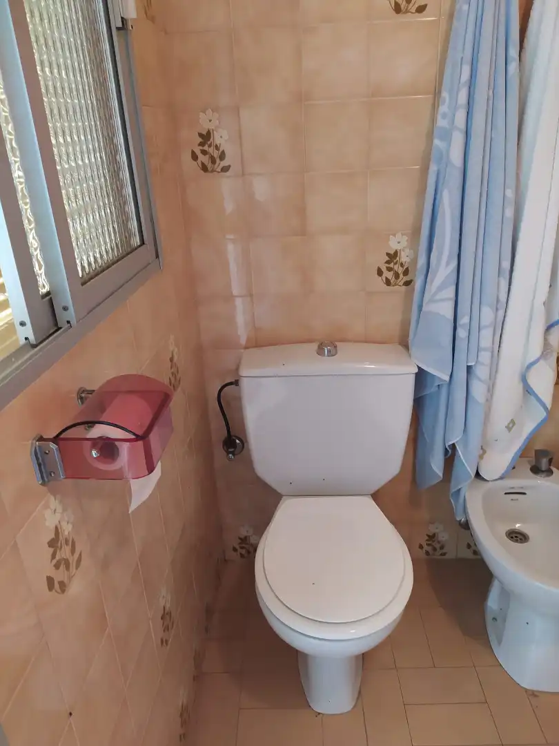 Baño de Casa o chalet en venta en Siruela