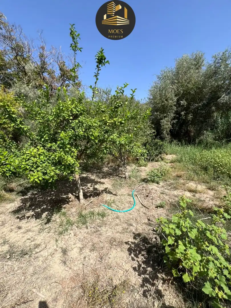 Detached house for sale in Puente Jontoya - Puente de la Sierra - El Arroyo, imagen 48
