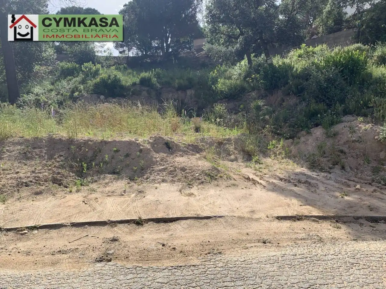 Terreno rustico in vendita a Montbarbat, imagen 8