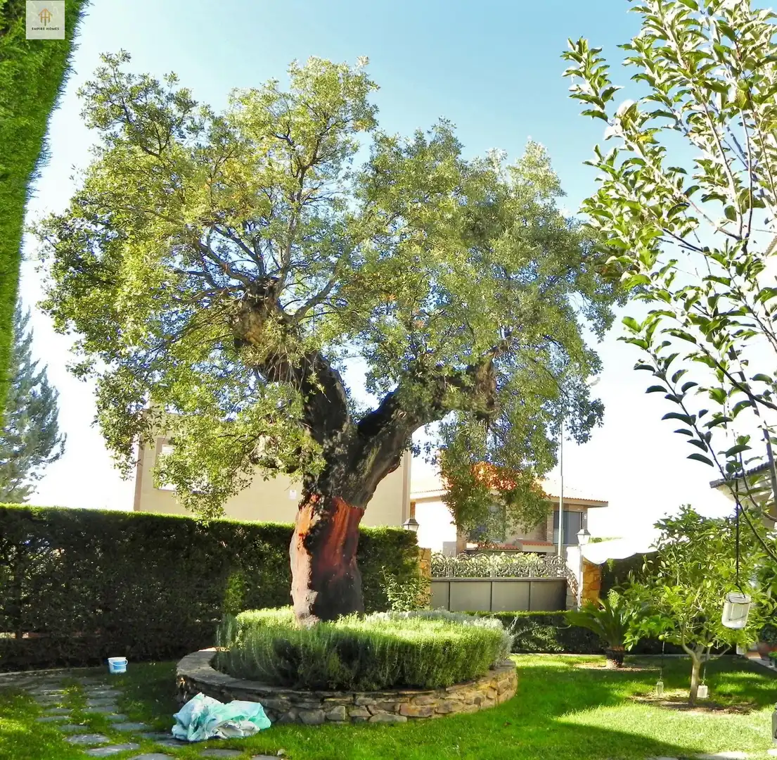 Jardí de Casa o xalet en venda en Cáceres amb Aire condicionat, Calefacció i Jardí privat