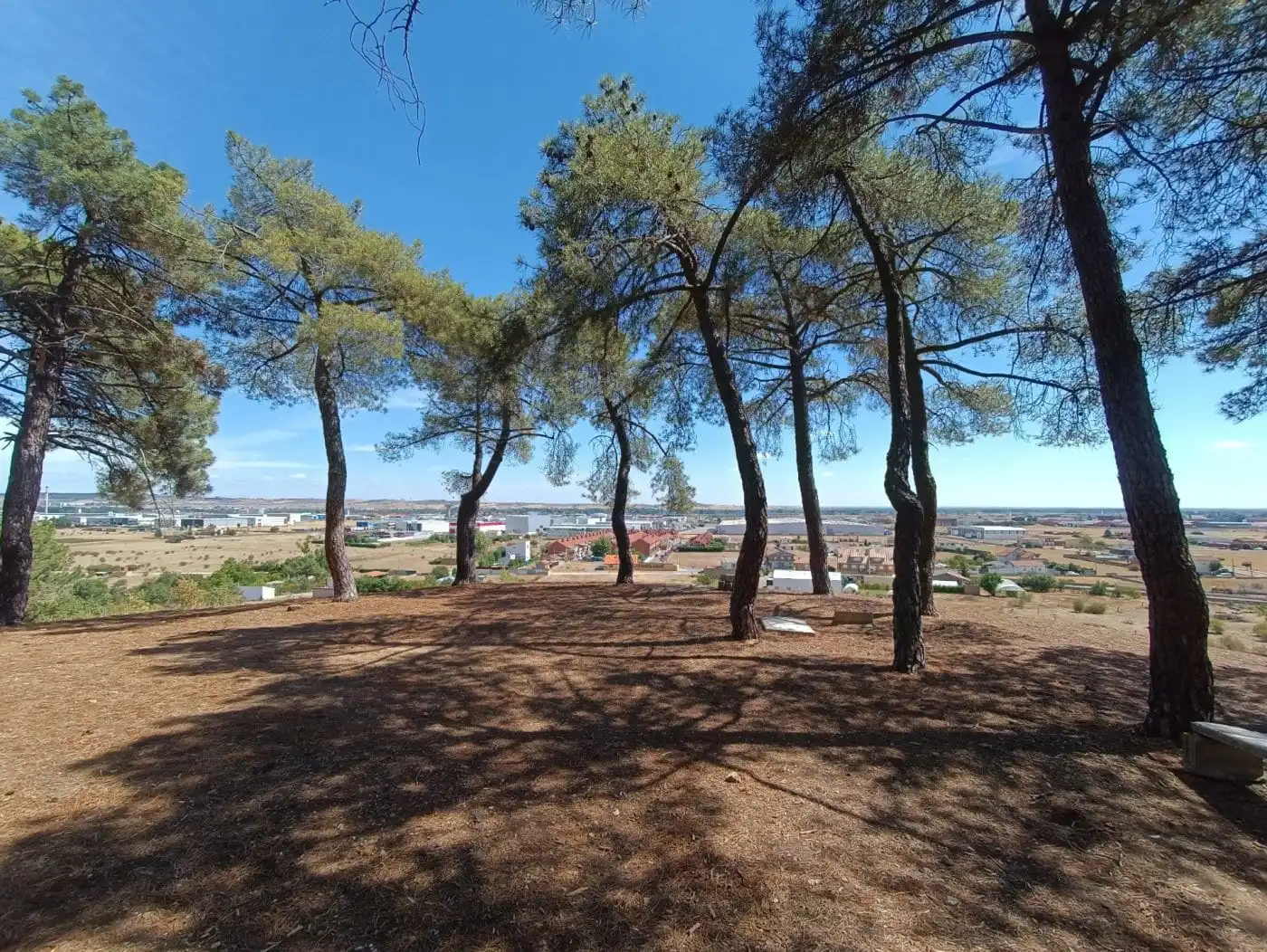 Terreni e lotti in vendita a Santovenia de la Valdoncina, imagen 22
