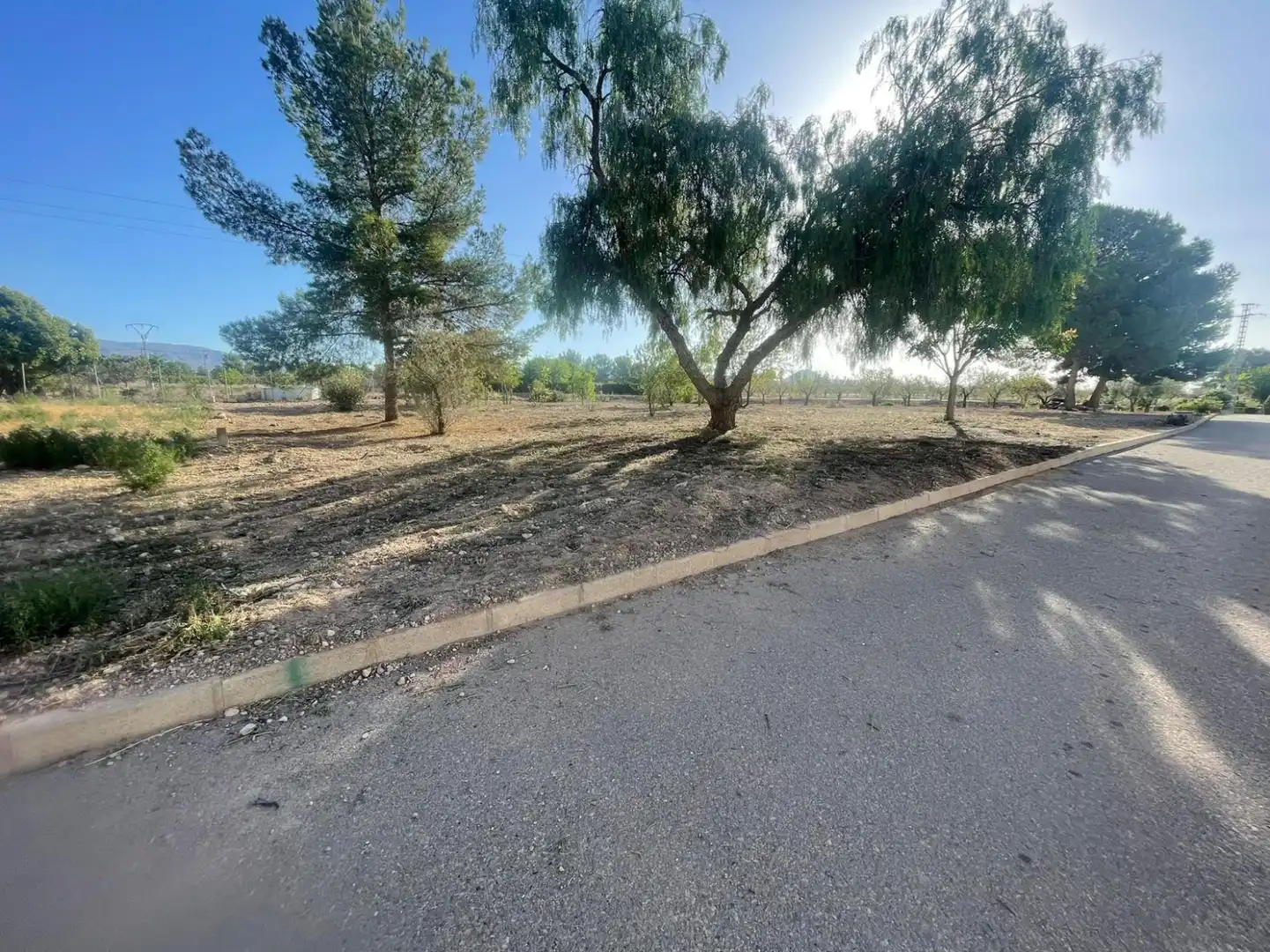 Wohnbaugrundstück zum Verkauf in Pinoso - POLIGONO 7 PARCELA 85, imagen 9