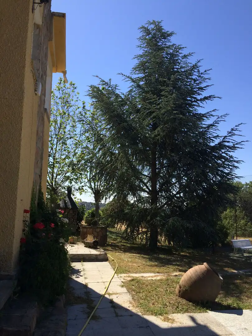 Casa amb piscina en venda a Colmenarejo, imagen 59