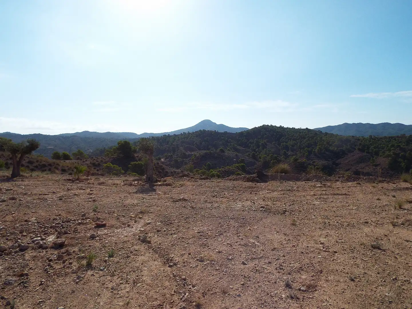 Lands and plots for sale in Abanilla, imagen 14