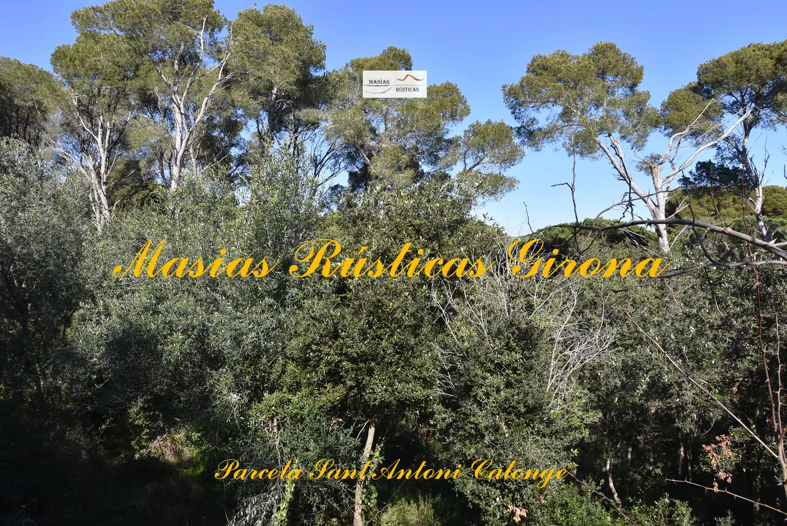 Residential land for sale in Carrer Cadí 6, imagen 11