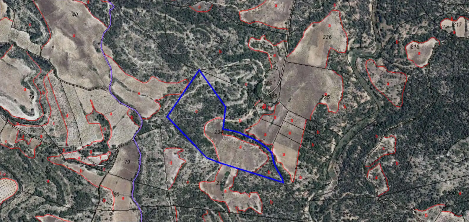 Rustikales Grundstück zum Verkauf in PARTIDA LOS DUQUES Nº Polg 123 P, imagen 4