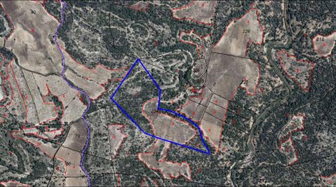 Solvia Inmobiliaria  Terreno con edificación Requena, immagine 4