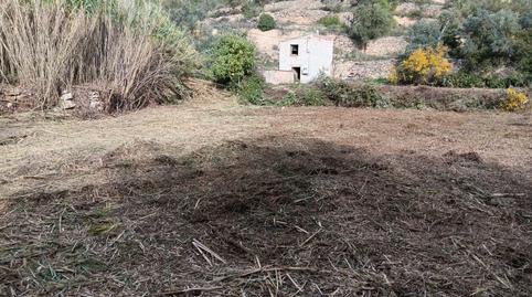 Photo 2 of Country house for sale in Disseminat, Vilalba dels Arcs, Tarragona