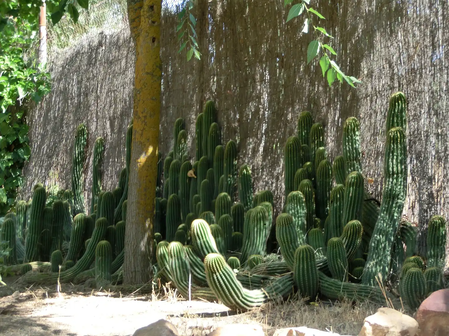 Jardí de Casa o xalet en venda en Sonseca amb Calefacció, Jardí privat i Terrassa