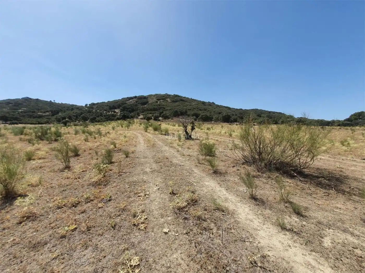 Haus zum Verkauf in Camino de la Isabela 76, imagen 3