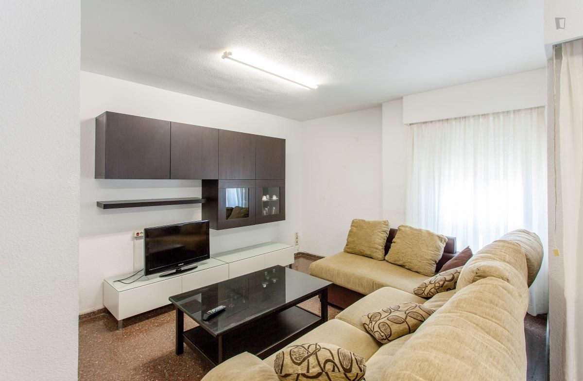 Sala d'estar de Apartament de lloguer en  Valencia Capital amb Aire condicionat, Calefacció i Moblat