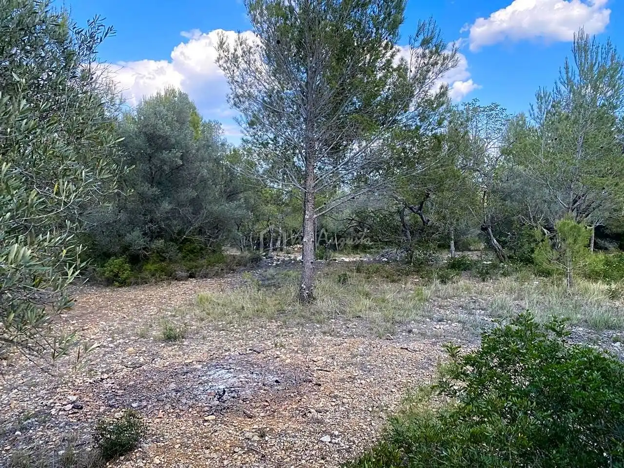 Terreno rustico in vendita a Ligallo de les Bordes, imagen 14