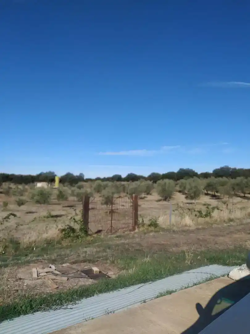 Terreno en venta en Chillón