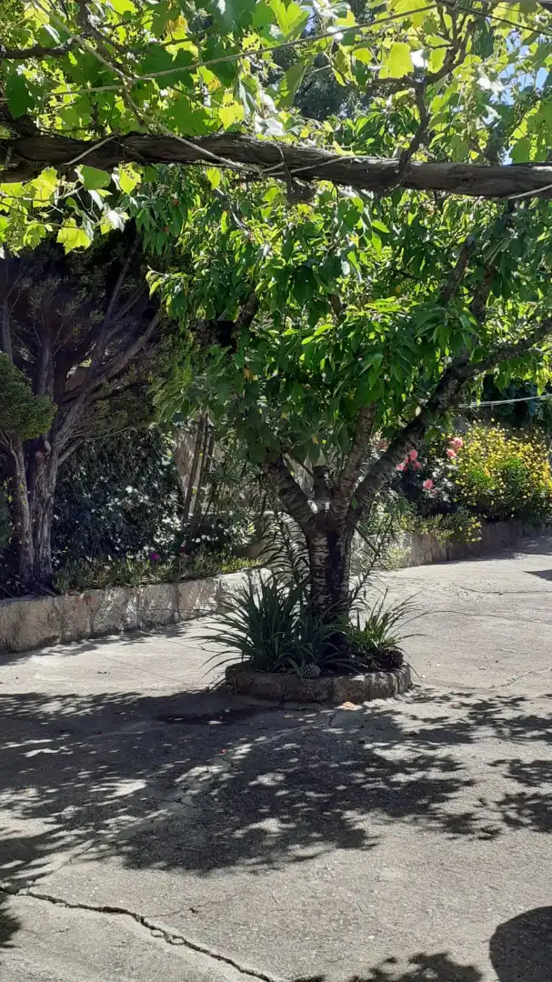 Exterior view of Land for sale in Jarandilla de la Vera