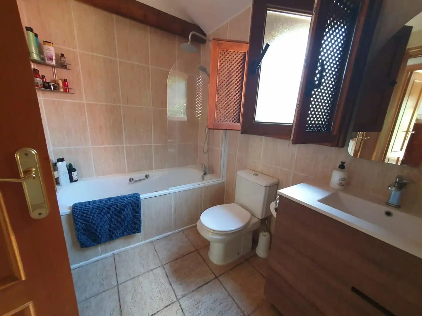 Country homes for sale in Monda