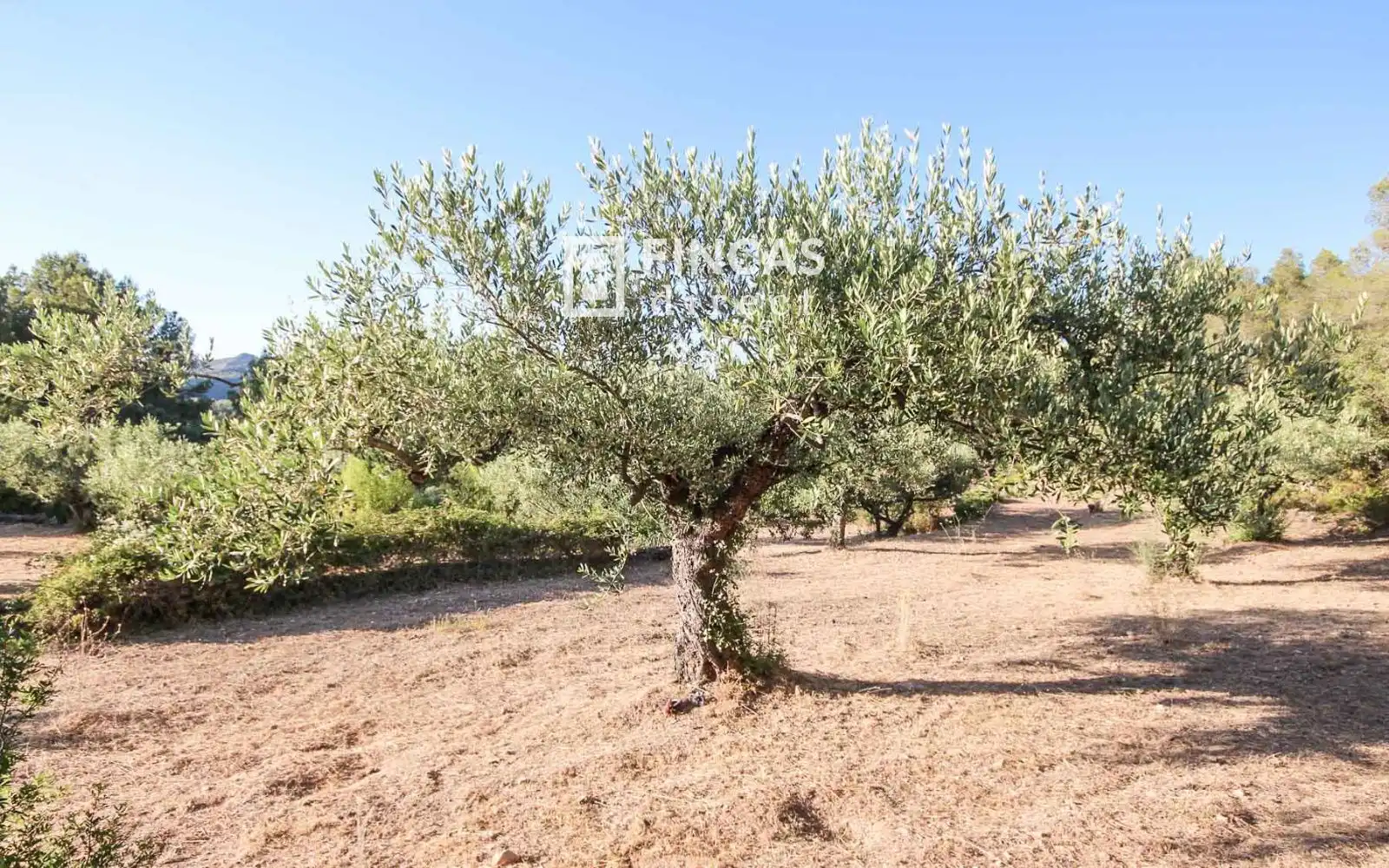 Finca rústica en venta en Benifallet con Calefacción, Trastero y Amueblado